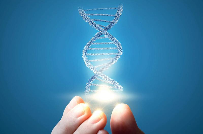 WHAT IS A GENETIC TEST?